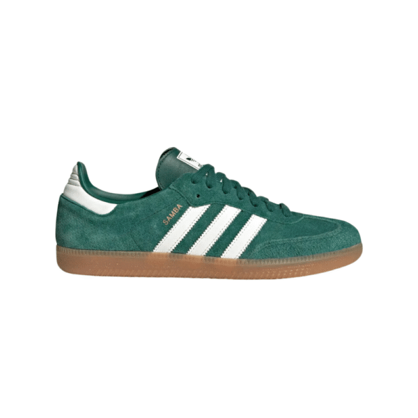 birken1000-1.png